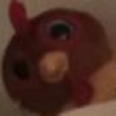 Chicken face zoomed in tightly with a suspicious, intense stare.