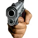 Gun
