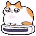 orange_roombacat animated emote | Stoner Sluts