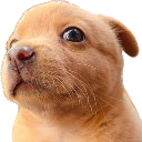 orange_doggie custom emote - Stoner Sluts