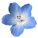 e_blue custom emote | /aqua