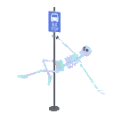 skeleton