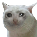 20260913_183815 Discord sticker from Vandox_YT