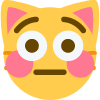 A yellow cat-faced emoji with wide, staring eyes, pink cheeks, and a flat, straight mouth expressing awkwardness.