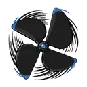 Spin