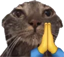 :Cat_Pray: