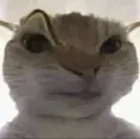 Huh1