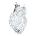 2lb custom emote - 𝐄𝐬𝐦𝐚𝐞𝐥 𝐆𝐚𝐦𝐢𝐧𝐠
