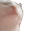:A_cat_blast: