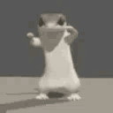 :geico: