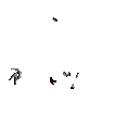 DungeonsAndDragons Discord emoji