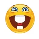 emoji_13
