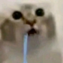gato_dawn Discord Emoji | the chill zone