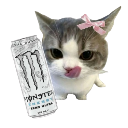catwhitemonster