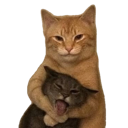 :3mm: