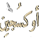 Arabic text in a metallic gold font is repeated across the image with small white butterflies placed between the words.