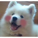 :Blushed_Flushed_Dog:
