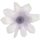 petalflower2