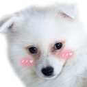 :CocoBlush: