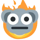 koalafire