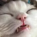 aeoooo1 Discord Emoji - 𝒕𝒉𝒆  • 𝚍𝚎𝚎𝚙 𝚎𝚗𝚍