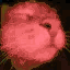 catJam6 animated GIF emoji - 𝒕𝒉𝒆  • 𝚍𝚎𝚎𝚙 𝚎𝚗𝚍