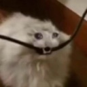 gonnacry3 Discord Emoji from 𝒕𝒉𝒆  • 𝚍𝚎𝚎𝚙 𝚎𝚗𝚍