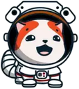 A happy orange and white cat wearing a white astronaut helmet.
