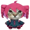 teto_cat