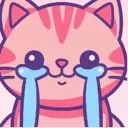 kittycry