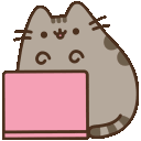 :bm_pusheen3:
