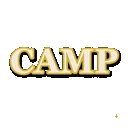 camp_detected