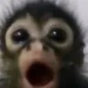 gasp