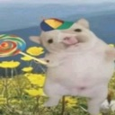 :emoji_5: