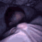 951036137248522250 animated GIF emoji - /aqua