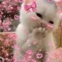 A white kitten with a pink bow on its head looks shyly at the camera while surrounded by a filter of pink hearts.