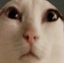 nepgodofthesevenrealms Discord Emoji - EVIL serverside