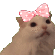 Chat_Coquette_LS Discord emoji