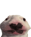 CH_Walter Discord emoji