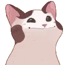 cz_PopCat