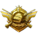 A golden emblem featuring a tactical helmet centered behind two crossed rifles and topped with a small crown.