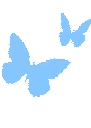:butterfly: