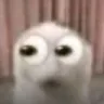 quevoid Discord Emoji - Japa Exploits