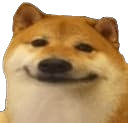 happydog Discord Emoji from LETS MEOWWW
