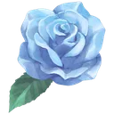 BlueRose