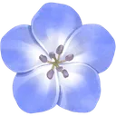 BlueFlower