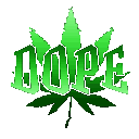 knkdope animated emote | 𝐓𝐞𝐦𝐩𝐥𝐞 𝐃𝐫𝐢𝐯𝐞 𝐇𝐨𝐦𝐞