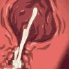 splosh animated GIF emoji | 𝔱𝔥𝔢 𝔠𝔩𝔢𝔯𝔟 ˖𓍢ִ໋ ⾕⋆˙⟡