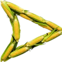 cornaired