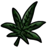 nostra_greenMarijuana
